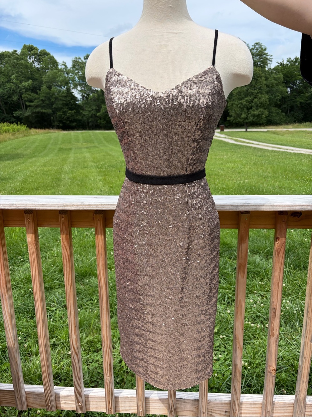 DRESS THE POPULATION EMMA SEQUIN BLUSH ICE SHEATH DRESS SZ XS